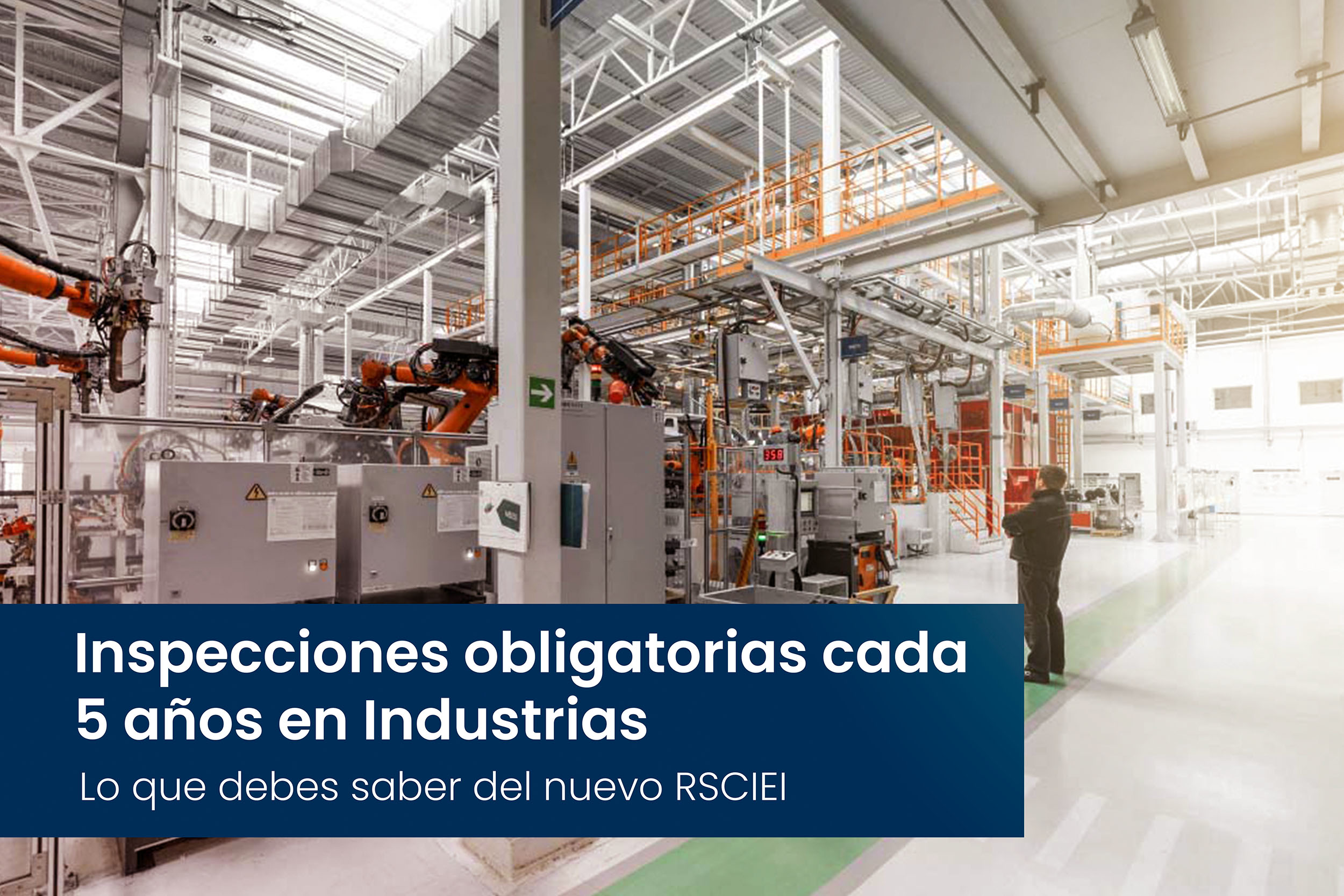 Inspecciones obligatorias